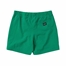 Picture of Shorts Continent Bright Green